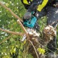 Makita DUC254Z ķēdes zāģis